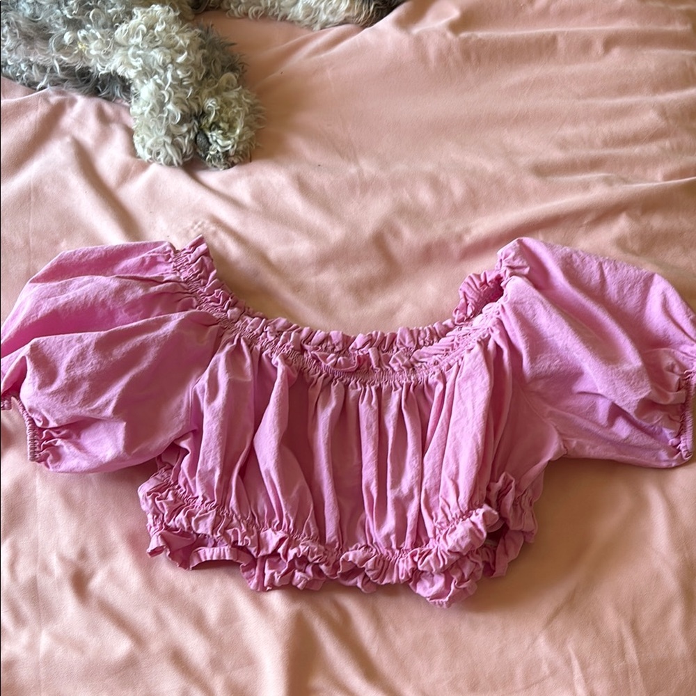 Zara Pink Puff Sleeve crop top
